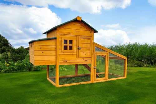 Chicken coop run hen house - chicken,
