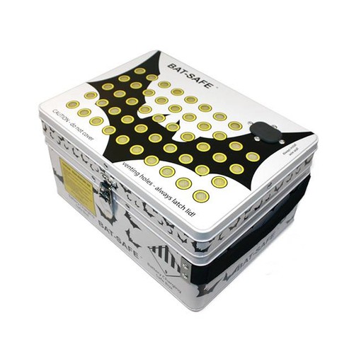 Bat safe lithium - lithium, lipo