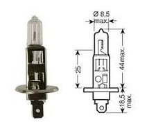 Halogen Headlight Bulb x 2