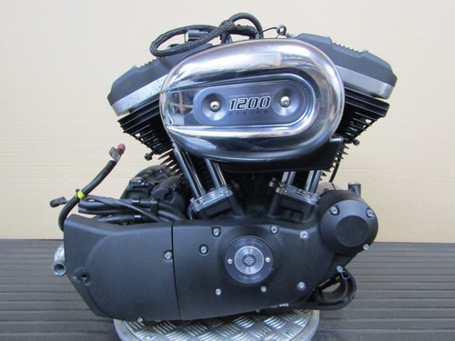 Harley davidson 1200 - 1200, custom