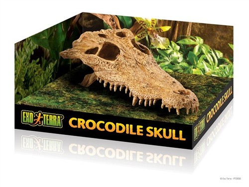 Exo terra crocodile skull - exo,