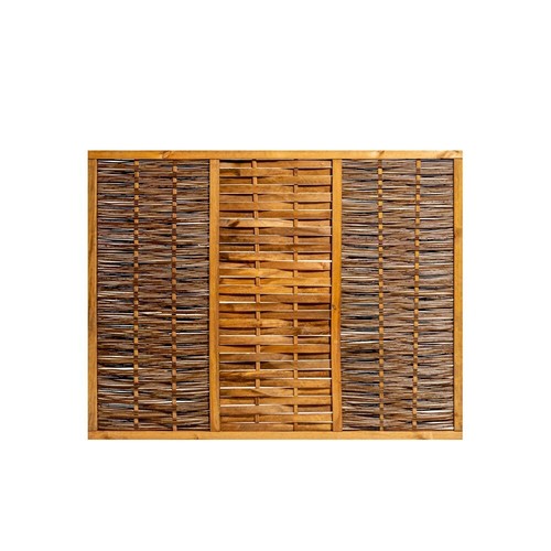 Papillon premium framed - papillon,