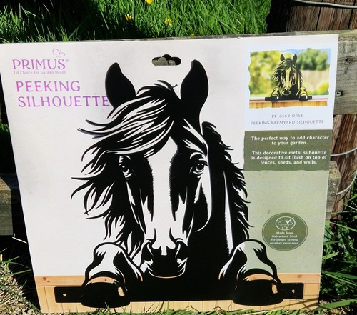Peeking black horse garden - peeking,