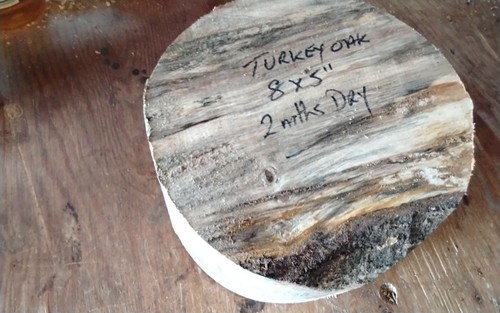 Spalted turkey oak bowl - turkey,