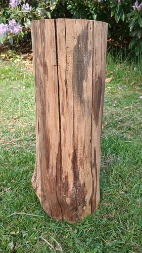 Log side table - , natural