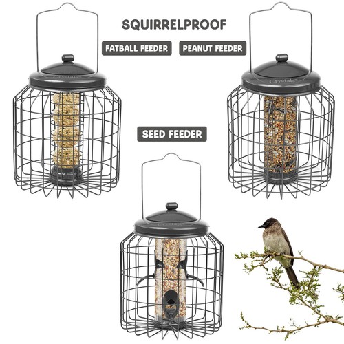 Squirrel proof hanging - proof,