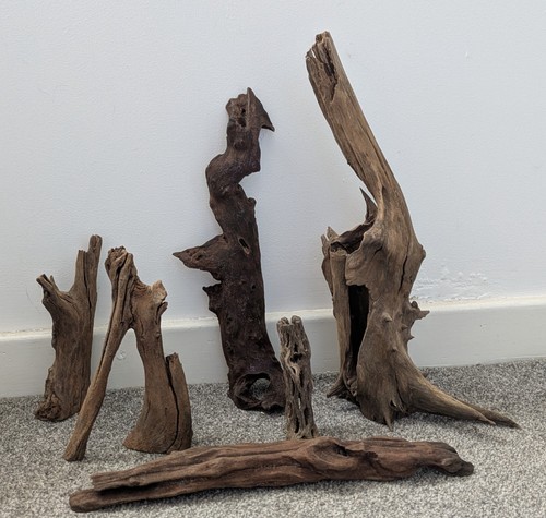 Bogwood for fish tank - , or