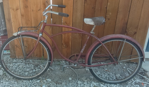 Schwinn tiger middleweight - tiger,