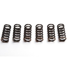 EBC Clutch Spring Set (6PCS)