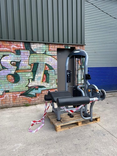 Matrix fitness s73 prone - g3,