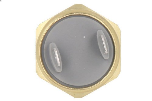 Temperature switch radiator - temperature,