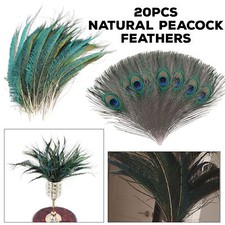 Natural Peacock Eye Sword Tail