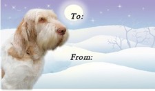 Italian Spinone Christmas Labels by Starprint - No 1