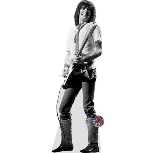Ronnie wood life - ronnie,