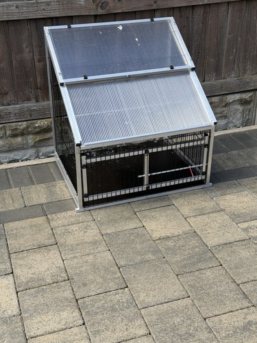 Racing pigeon ets trap - pigeon, aviary