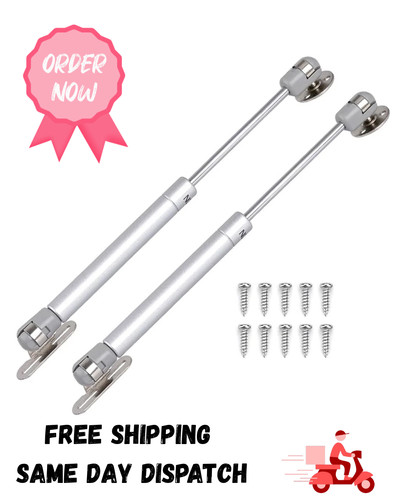 Gas struts 100n hydraulic - 2x,
