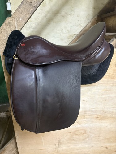 Kes working hunter show - kes, 17”