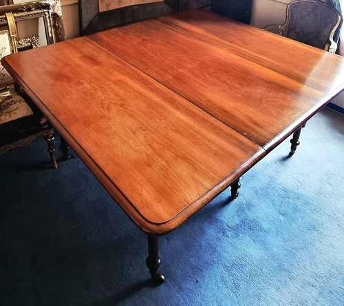 Stunning 19th mahogany drop - mahogany,