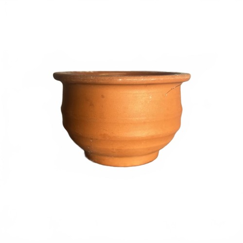 Colonial terracotta plant - plant, pot