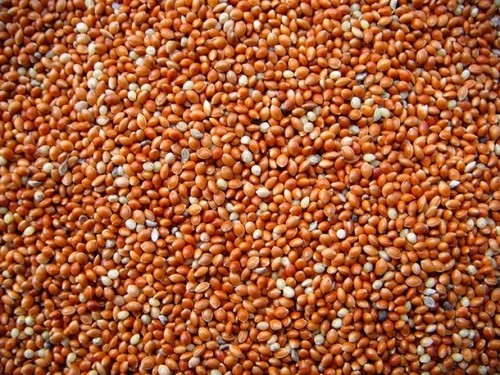 Versele laga red millet - versele,
