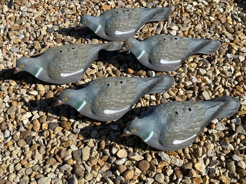 Pigeon decoys set 5 - set, of