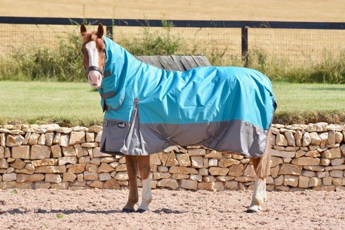 Horse turnout rug - turnout, fill
