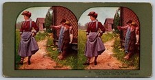 Golly! Tom, Ain't She a Bird? Stereoview T.W. Ingersoll 1898 Vintage