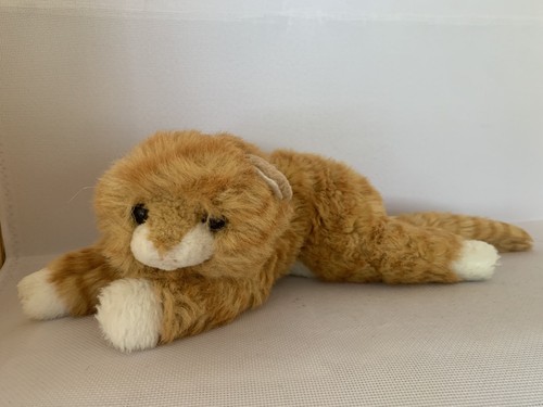 Ginger cat kitten - ty,