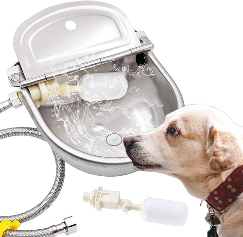 Automatic dog water - water, bowl