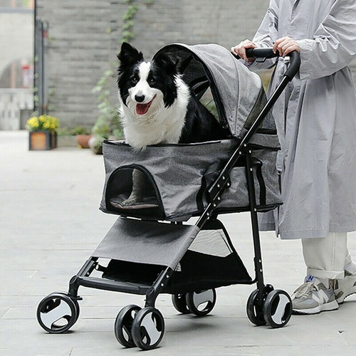Large pet dog - large,