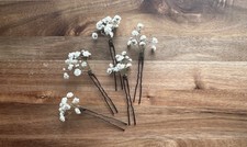 Real Babys Breath Flowers
