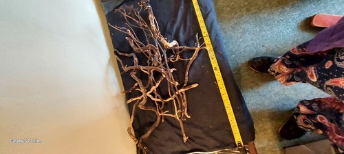 Driftwood pieces arts - driftwood,