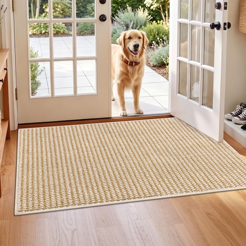 Hebe area rug for entryway - rug,