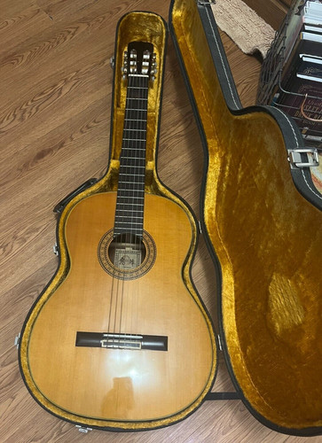 Classic takamine nylon - takamine, guitar