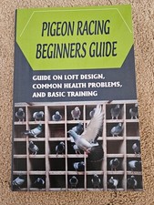 Pigeon Racing Beginners Guide