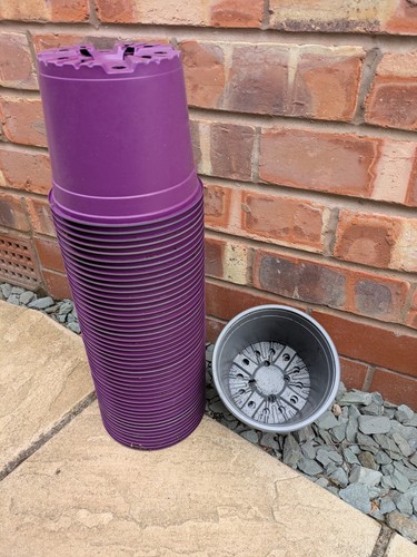 Plant pots used 2 - used,