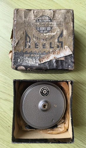 Vintage young condex fly - vintage, w