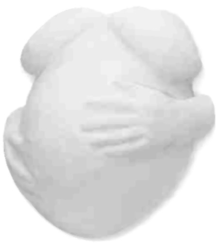 Pregnant belly casting kit - pregnant,