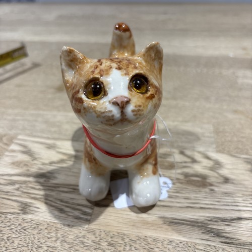 Winstanley ginger cat size - cat,