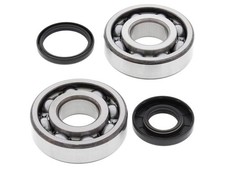 ALL BALLS Crankshaft Bearings
