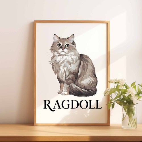 Ragdoll cat wall art - a4,