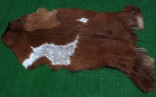 Luxury Goat hide Rug Hair on
