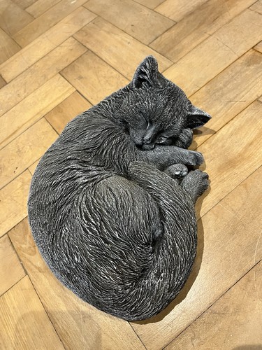 Sleeping cat concrete - cat,