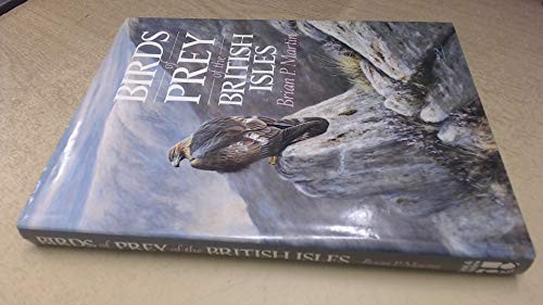 Birds prey the british - birds,