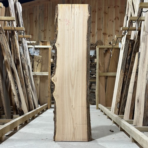 Sweet chestnut plank - chestnut, board