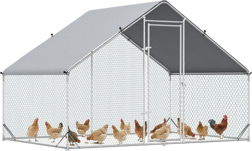 Large chicken coop - chicken,