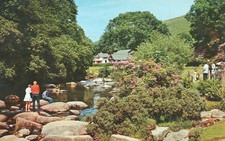 ENGLAND POSTCARD Dartmeet