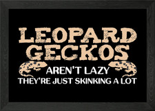 Leopard Gecko Joke Framed Wall