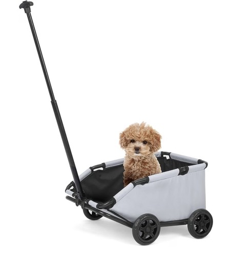 Mini dog strollers - dog,