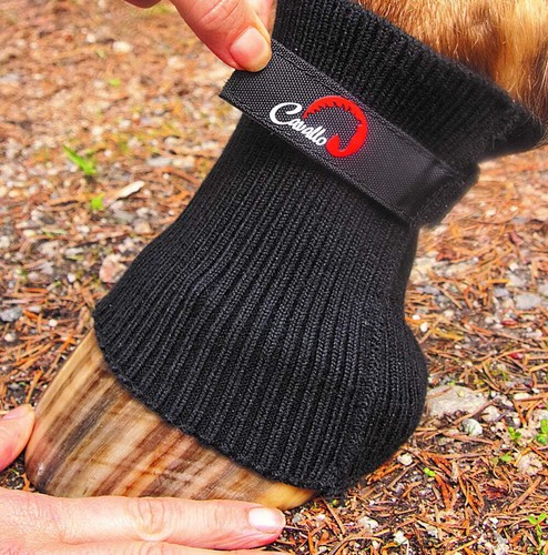 Cavallo inc horse comfort - cavallo,